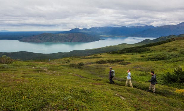 3 hikers walk a path among bright green tundra over a wide mountain pass in the Kenai Wildlife Refuge of Alaska.