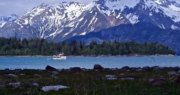 An Alaska national park cruise ship sails in Glacier Bay seen between the shore and trees with big snowy mountains behind it.