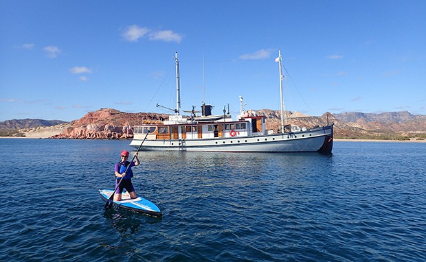 Guest stand up paddleboarding in front of small ship in Baja California.
