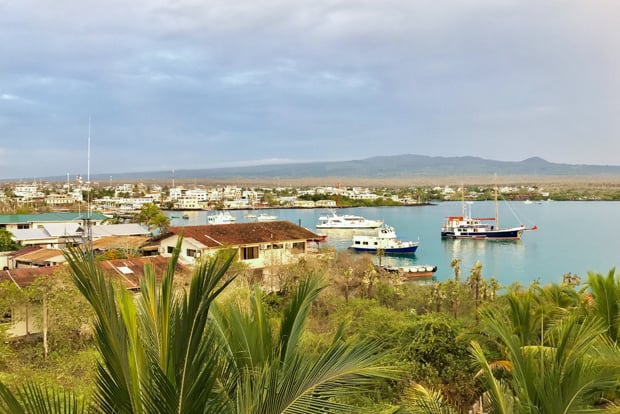 The town of Puerto Ayora Galapagos seen from the shoreline looking out into a bay with lush green foilage and ships in the water