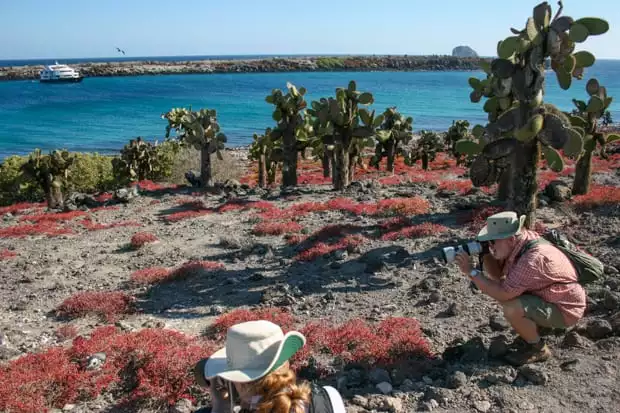 A male photographer in a bucket hat and green shorts points his camera at red foilage amid opuntia cactus with a calm bay and Galapagos cruise ship seen behind him