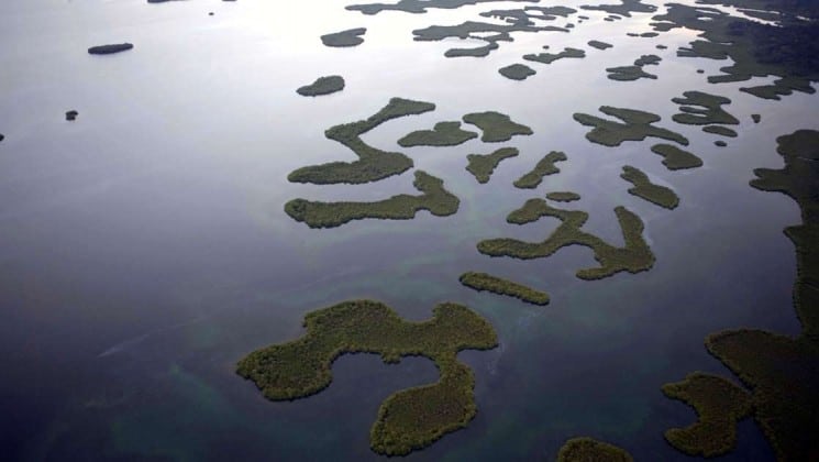 An island archipelago in calm water at Bocas del Toro, Panama, near Bocas Inn