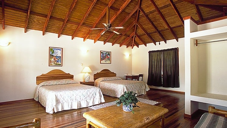 The interior of a cabana at the Blackbird Caye Resort in Belize, with two queen beds, a ceiling fan, and a table with a green plant