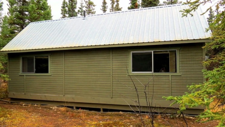 Back view of guest cabin surrounded by trees at Denali Education Center in Alaska