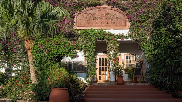 The front door of Chabil Mar Villas is surrounded by hanging flowers and enchanting local plants in Belize