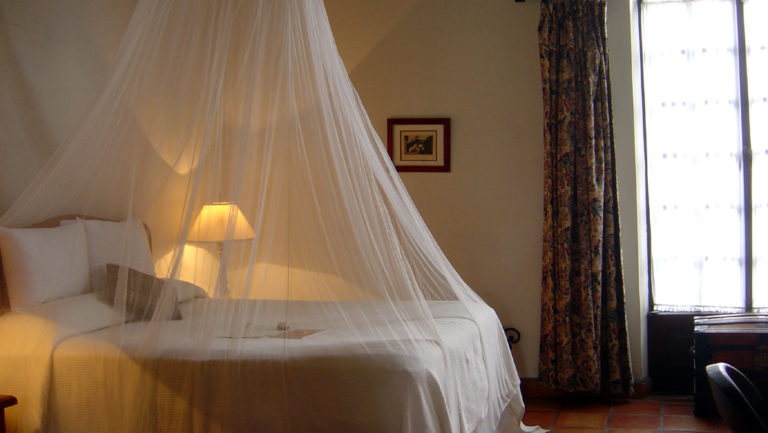 A room with a mosquito net draped over a queen-sized bed at Todos Santos Inn, an old hacienda hotel in Baja