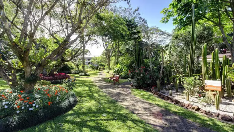 Garden walkway with trees, flowers and cacti outside Hotel Bougainvillea near San Jose, Costa Rica