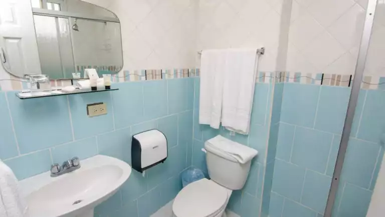 The Single Room Bathroom with blue tiles, a toilet, and a sink at La Casa de la Abuela, a cozy hotel in Panama's Caldera River Valley
