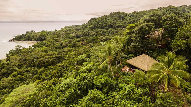 The lodge tucked in the jungle over looking the ocean.