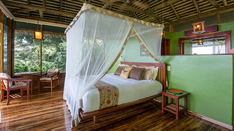A bed in Lapa Rios Eco Lodge with a mosquito net and green walls.