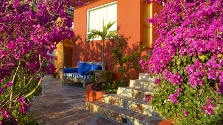 Flowers adorn the orange adobe walls and tiled floor at the patio of a private condo at the boutique Baja hotel Los Colibris Casitas