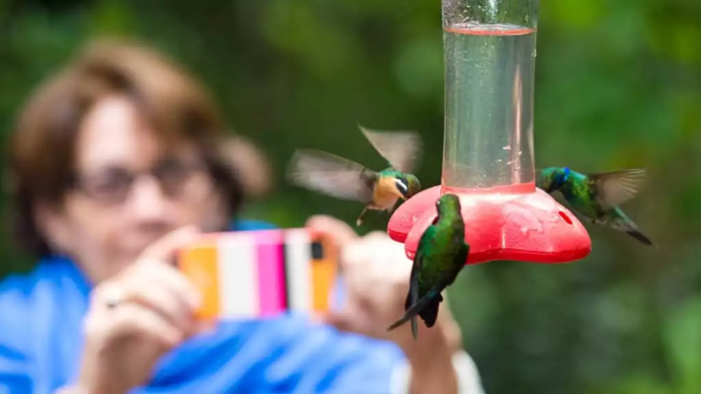 Hummingbird Garden at Monteverde Lodge

