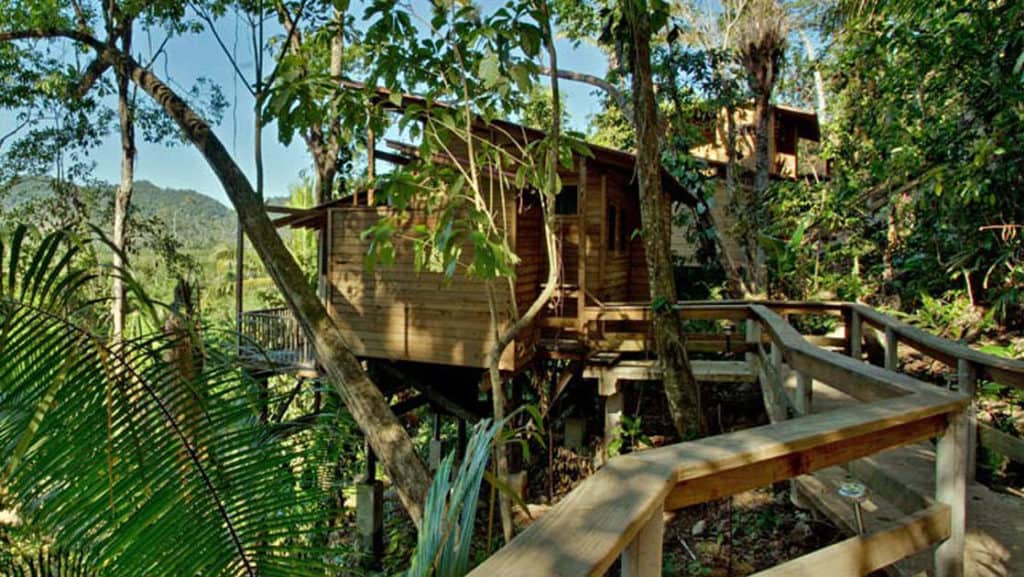 Caves Branch Jungle Lodge perched in the canopy with epic jungle views in Belize