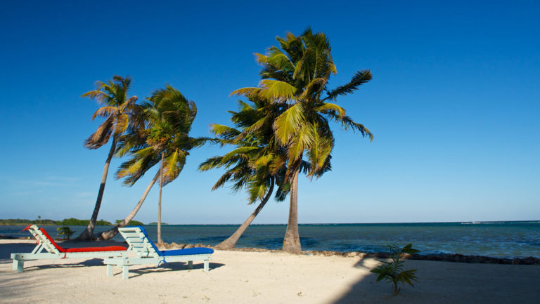 Palm trees and two lounge beach chairs make an idyllic beach setting just out front of the Blackbird Caye Resort in Belize