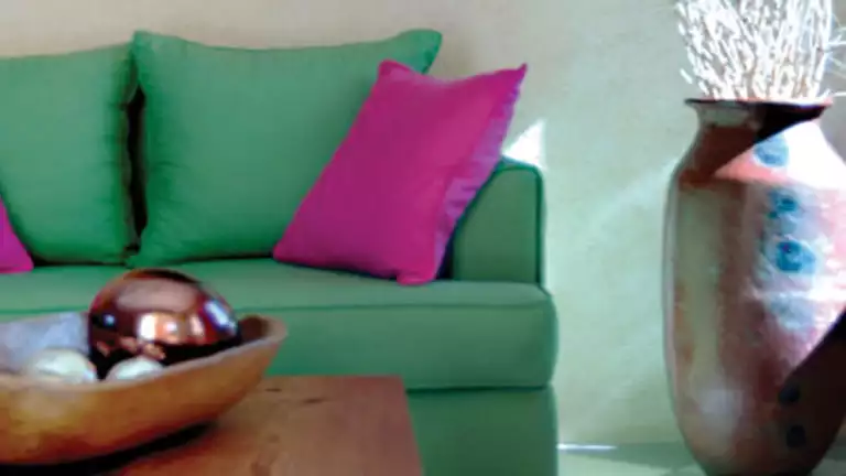 Green couch with purple pillows and coffee table near large potted plant in suite at Casa Natalia on the Baja Peninsula