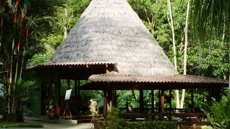 Forest bar at Casa Corcovado