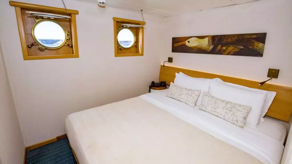 Standard Plus cabin aboard Galapagos Legend