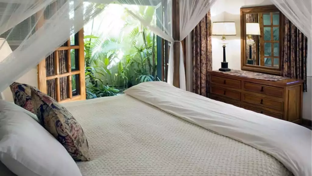 Todos Santos Inn Garden Suite with king bed

