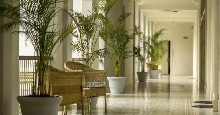 Interior hallway lined with plants and wicker chairs at Hotel del Parque in Guayaquil, Ecuador