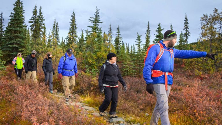 Guided trek through nature with guests in Alaska