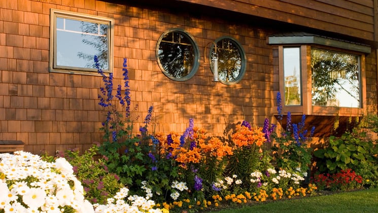 Colorful flowers bloom in a garden bed just outside the shingled wall of the Parkside Guest House, a bed-and-breakfast in Anchorage, Alaska
