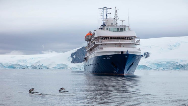 Penguins in the water off the starboard bow of Sea Spirit expedition ship with glacier in background