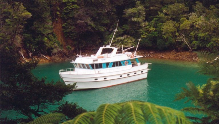 The Affinity in a blue-green cove in New Zealand surrounded by foliage.
