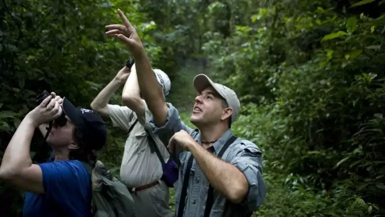 travelers with binoculars look and point upwards in the jungle on the best of panama land tour