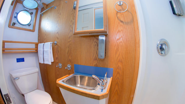 Bathroom aboard Cachalote Explorer with porthole.