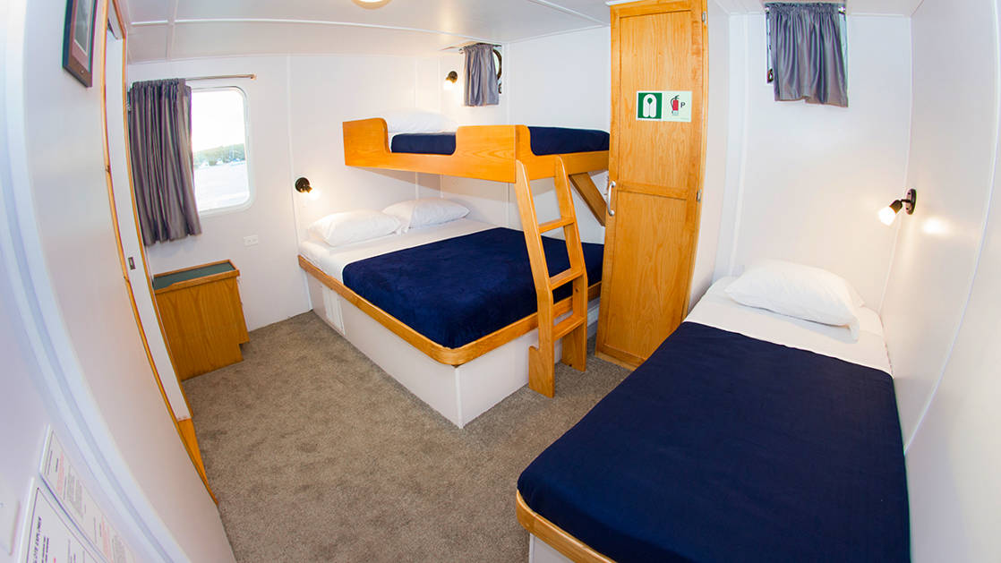 Cabin 1 aboard Cachalote Explorer with three beds and window.