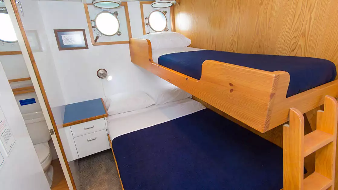 Cabins 3, 4, & 7 aboard Cachalote Explorer with bunk beds and porthole.