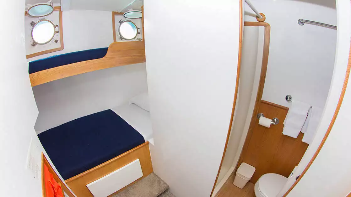 Cabin 8 aboard Cachalote Explorer with bunk beds, porthole, and view of bathroom.