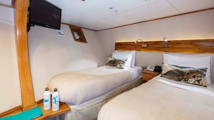 Standard Cabin with two beds, a TV, and bedside table aboard Coral I & Coral II yachts in the Galapagos Islands