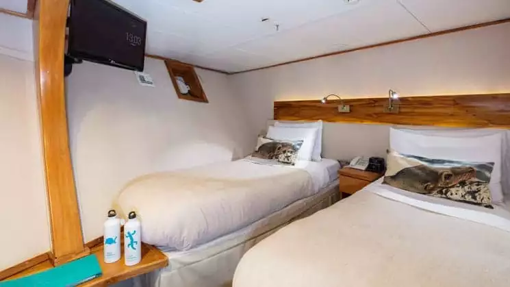 Standard cabin with twin beds aboard Coral I