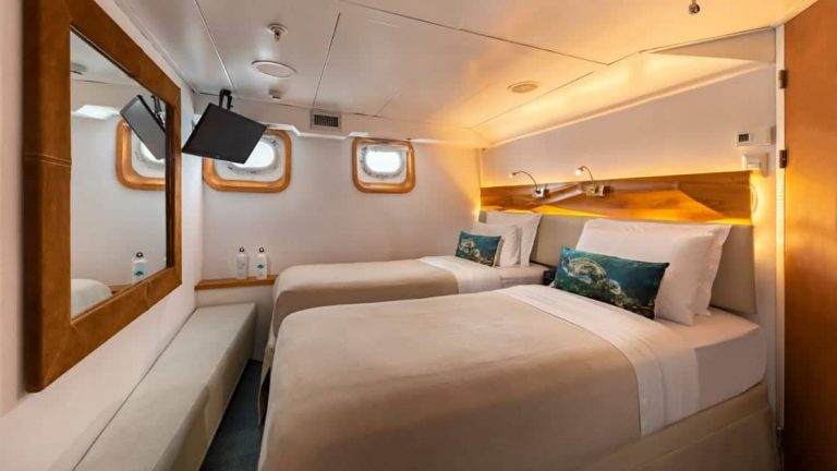 Standard Plus Cabin with two beds, bench, bedside table and two portholes aboard Coral I & Coral II yachts in the Galapagos Islands