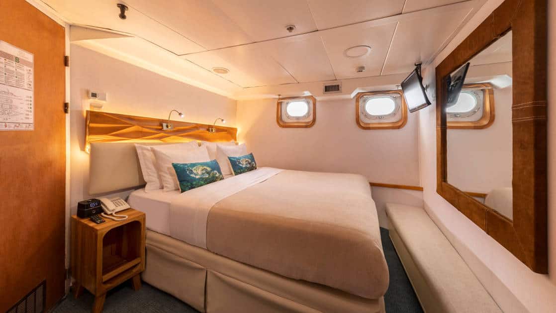 Standard plus cabin with a double bed, bench, TV and two portholes aboard Coral I & Coral II yachts in the Galapagos Islands