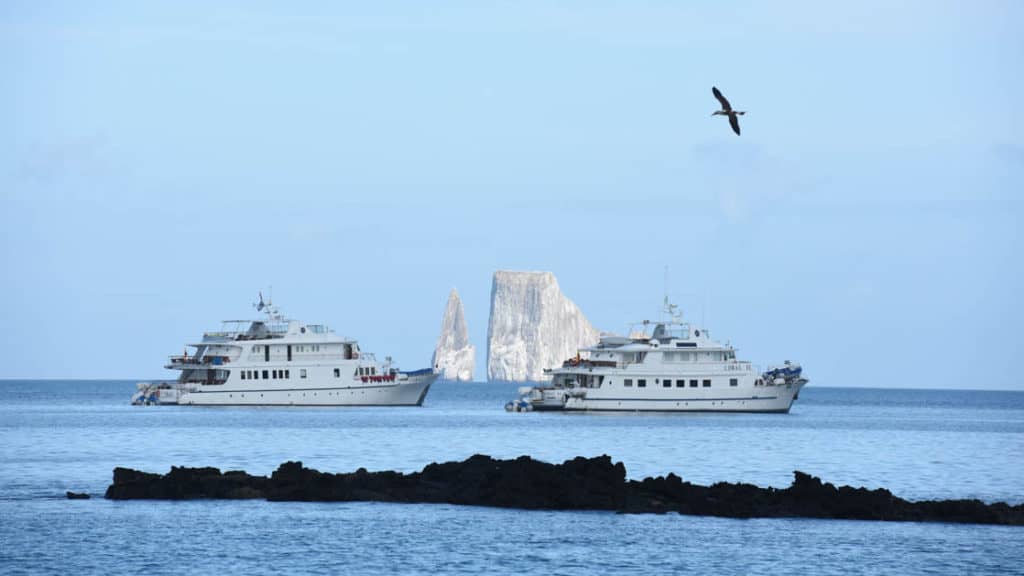 Bird flying above Coral I & Coral II yachts, shown from starboard side in Galapagos Islands