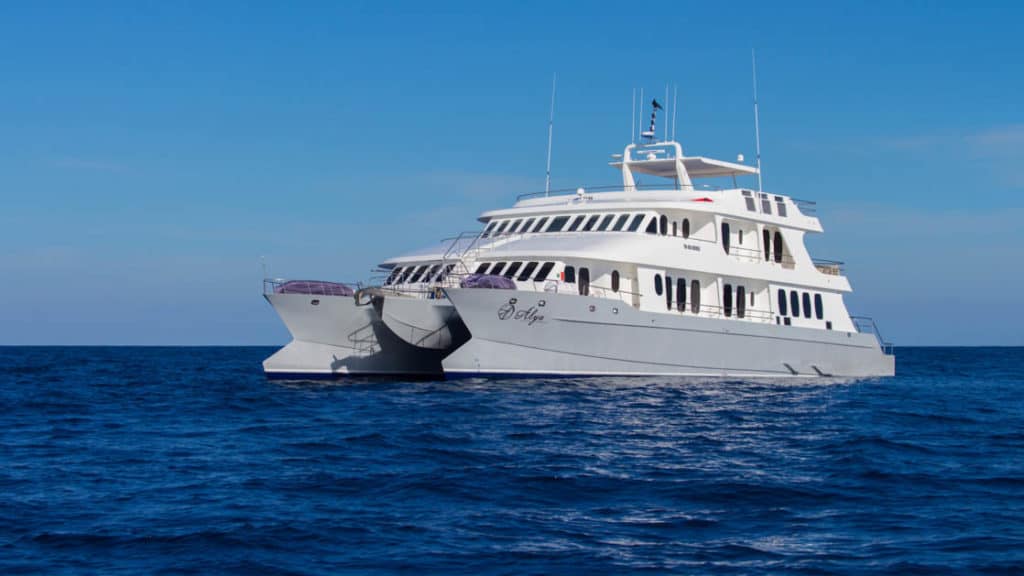 Small ship Alya cruising through the blue water of the Galapagos.