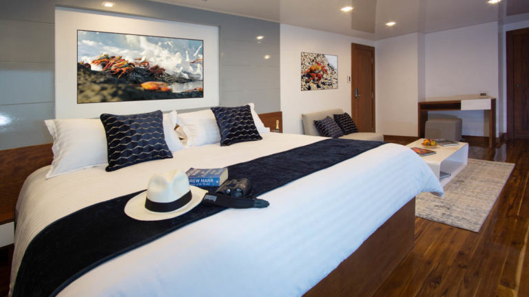 Galapagos Infinity yacht suite with king size bed, seating area, desk, nightstands.