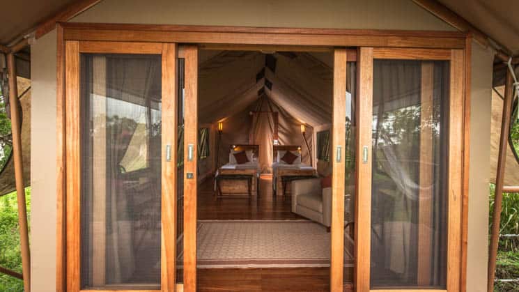 Looking into tent cabin with two beds from outside deck door at Galapagos Safari Camp Santa Cruz Highlands in the Galapagos Islands