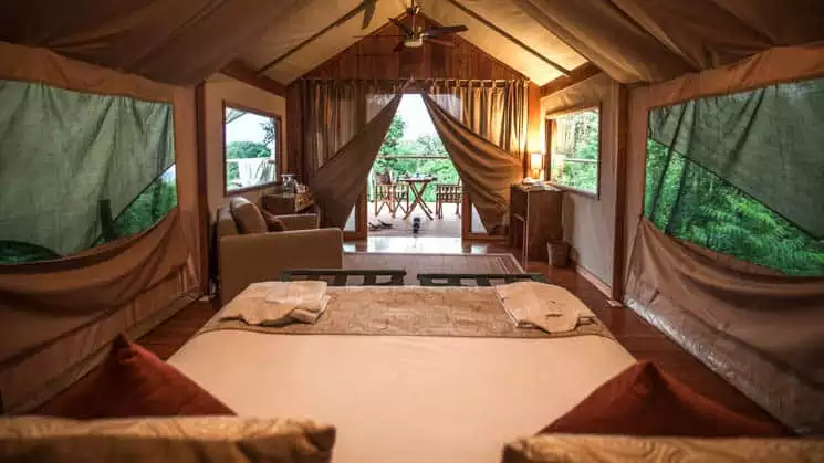 View from inside tent cabin with double bed to outside deck door at Galapagos Safari Camp Santa Cruz Highlands in the Galapagos Islands