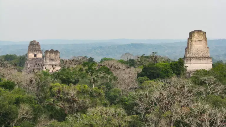 Tikal ruins and pyramids sticking out above the treeline in Guatemala.