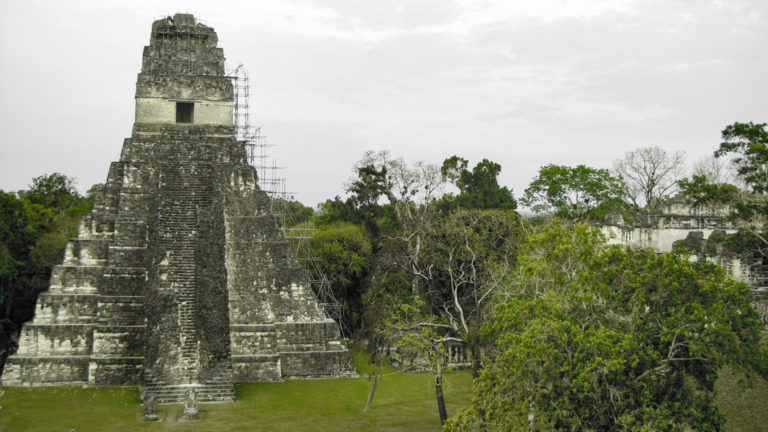 A tall pyramid in Tikal with a room at the top.