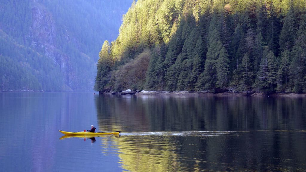 adventure traveler in a yellow kayak paddling on flat water during the Olympic Wilderness & San Juan Islands pacific northwest small ship cruise