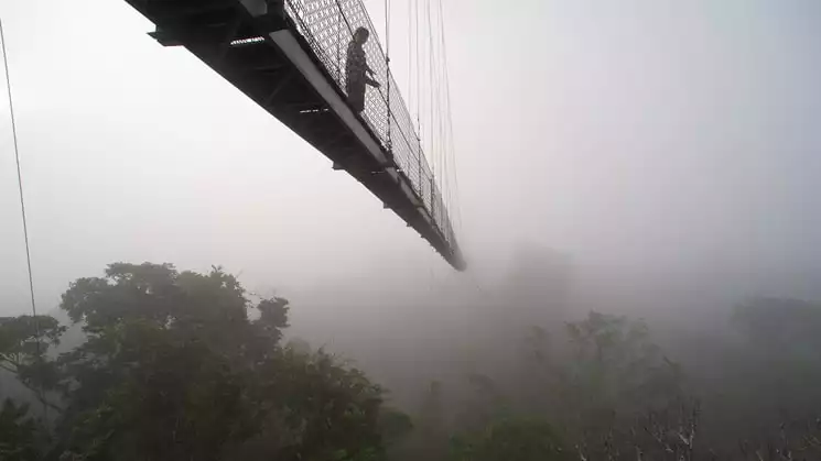 Sacha Lodge's raised tree walk disappears into the clouds hanging low in the Ecuadorian Amazon.