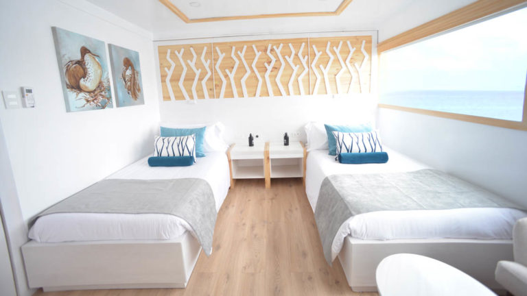 Two twin beds aboard Sea Star Galapagos small ship with natural light flowing in from window.