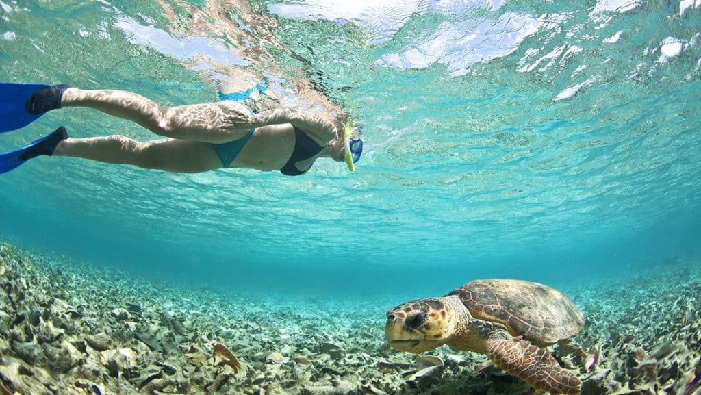 Woman snorkeling in clear blue waters in Belize directly above a sea turtle in shallow water