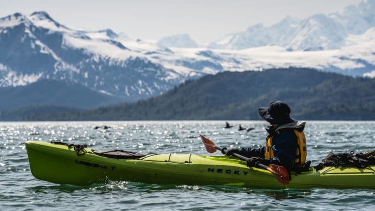 Guest Kayak in Glacier Bay