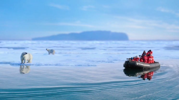 zodiac of photographers near two polar bears on pack ice on arctic wildlife safari small ship cruise