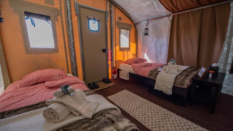 The interior of a private cabin with two twin beds at Base Camp Greenland in Sermilik Fjord, the Arctic.